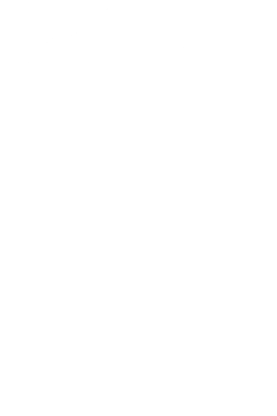 装飾：尾道の白地図